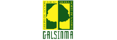 Galsinma_web